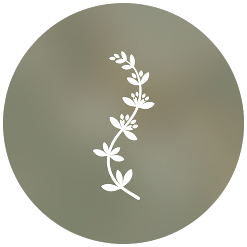 Эфирное масло тимьяна